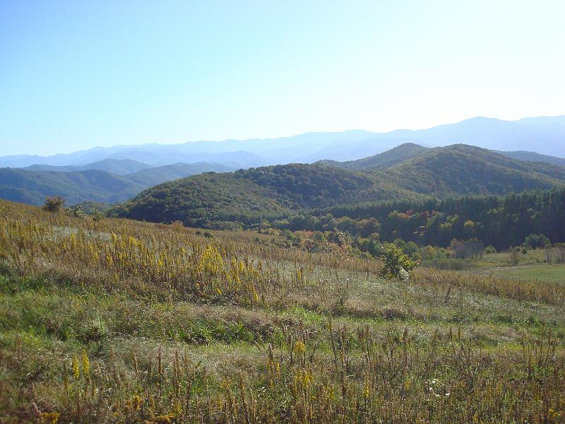 DSC03820.JPG