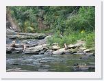 DSC03361 * 3072 x 2304 * (2.77MB)