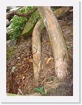 DSC03690 * 3072 x 2304 * (2.71MB)
